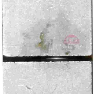 5" Rectangular Ball Bearing - 1 Pc