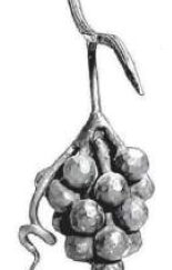 I20324 - Forged Grape Cluster
