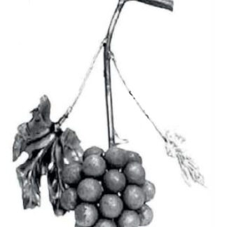 DE010 - Large Grape Cluster