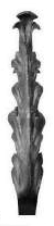 3206 - Steel Leaf