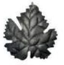 2185 - Steel Leaf