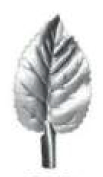 SL9 - Stamped Leaf